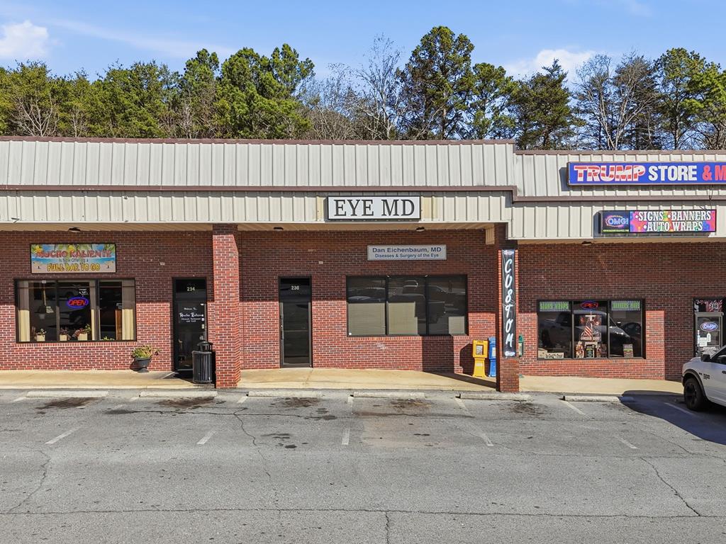 941 Maddox Drive Ellijay GA 30539