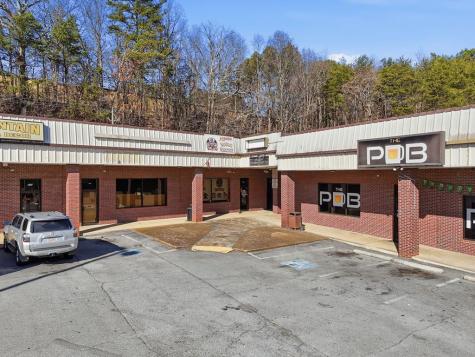 941 Maddox Drive Ellijay GA 30539