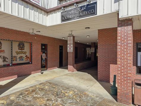 941 Maddox Drive Ellijay GA 30539