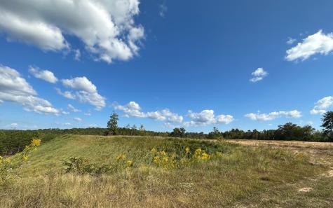 1 Tom Boyd Road Blue Ridge GA 30513