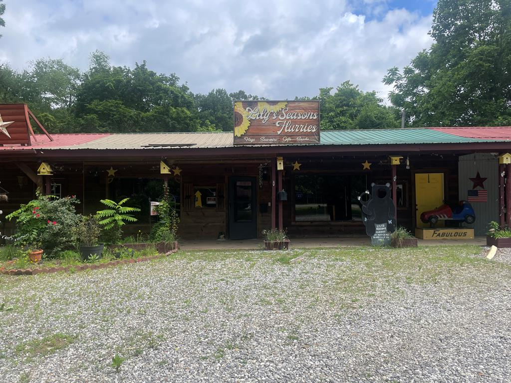 64 Pappys Plaza Blairsville GA 30512