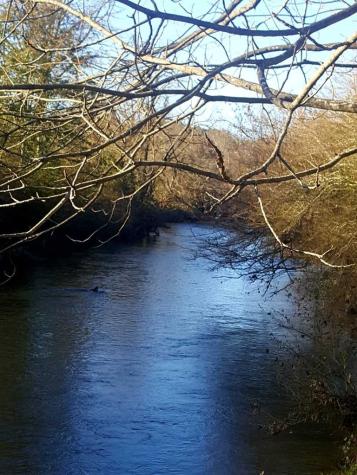 260 Mccutchen Street Ellijay GA 30540