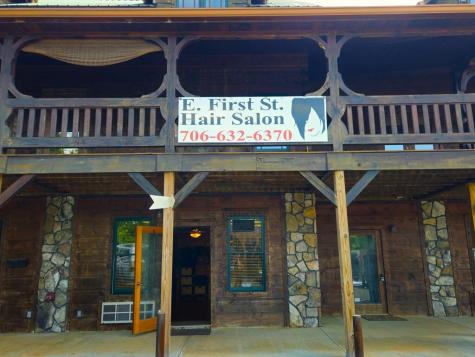 3387 East First Street Blue Ridge GA 30513
