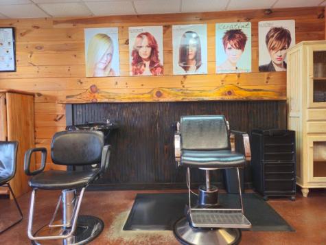 3387 East First Street Blue Ridge GA 30513