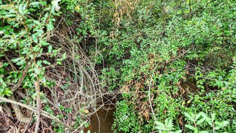 54 Bakeshop Lane Cleveland GA 30528