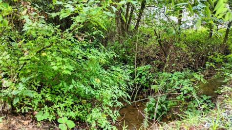 54 Bakeshop Lane Cleveland GA 30528