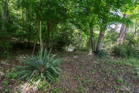 3674 Us 19 Marble NC 28905