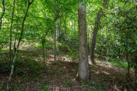 3674 Us 19 Marble NC 28905
