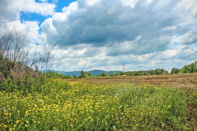 00 Highway 64 E Murphy NC 28906