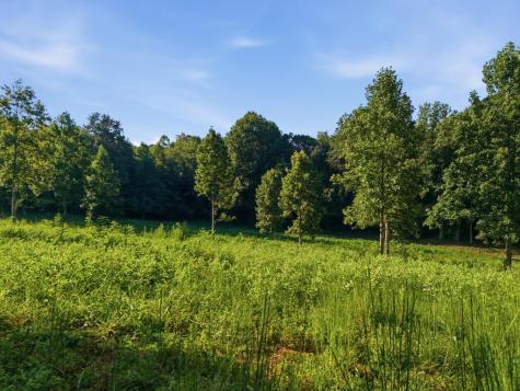 314 Lakeside Drive Hiawassee GA 30546