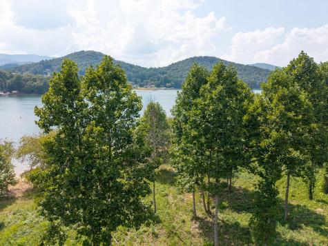 314 Lakeside Drive Hiawassee GA 30546