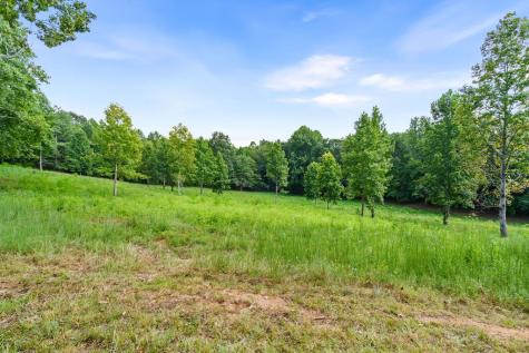 314 Lakeside Drive Hiawassee GA 30546
