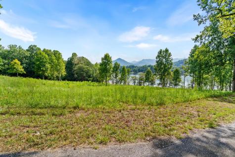 314 Lakeside Drive Hiawassee GA 30546