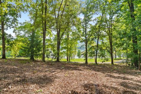 314 Lakeside Drive Hiawassee GA 30546