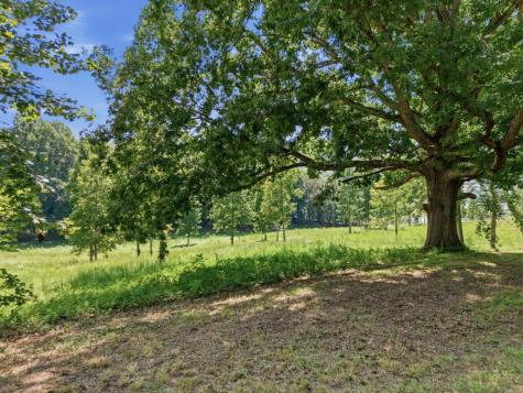 314 Lakeside Drive Hiawassee GA 30546