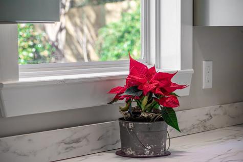 8679 Lakewood Highway Mineral Bluff GA 30559