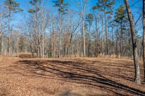 4011 Murphy Highway Mineral Bluff GA 30559