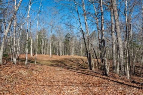 4011 Murphy Highway Mineral Bluff GA 30559