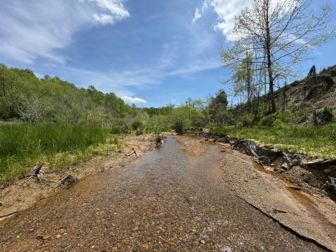 20 Acres Highway 515 Ellijay GA 30540