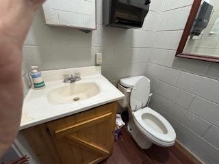 1825 Streak Hill Road Hiawassee GA 30546