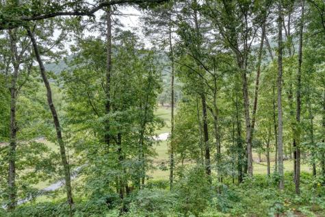 227 Shakespeare Drive Clayton GA 30525