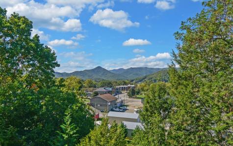 121 River Street #4-C Hiawassee GA 30546