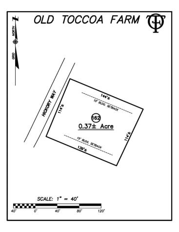 Lt 162 Hickory Way Mineral Bluff GA 30559