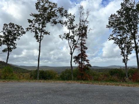 Lot 173 Shagbark Court Ellijay GA 30541