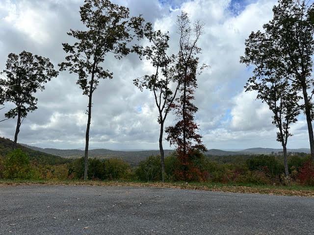 Lot 173 Shagbark Court Ellijay GA 30541
