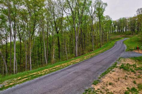 Lot 173 Shagbark Court Ellijay GA 30541