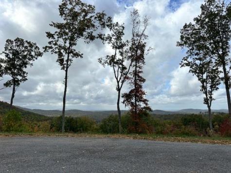 Lot 173 Shagbark Court Ellijay GA 30541