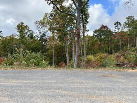 Lot 173 Shagbark Court Ellijay GA 30541