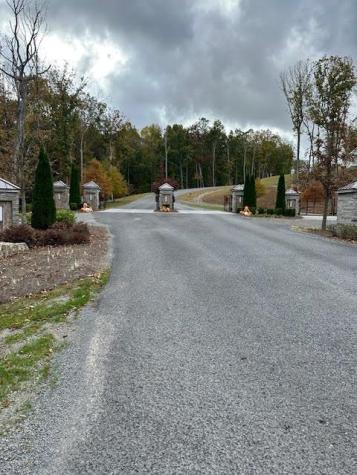 Lot 173 Shagbark Court Ellijay GA 30541