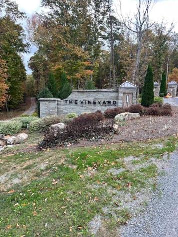 Lot 173 Shagbark Court Ellijay GA 30541