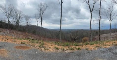 Lot 173 Shagbark Court Ellijay GA 30541