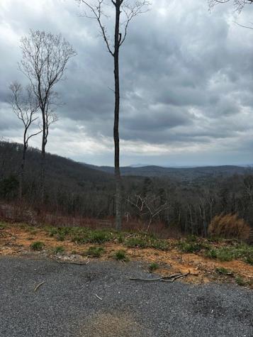 Lot 173 Shagbark Court Ellijay GA 30541