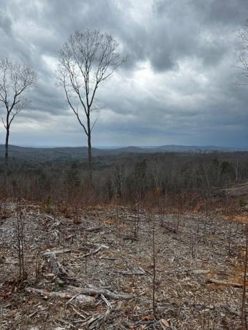 Lot 173 Shagbark Court Ellijay GA 30541