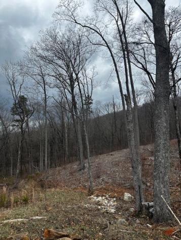 Lot 173 Shagbark Court Ellijay GA 30541