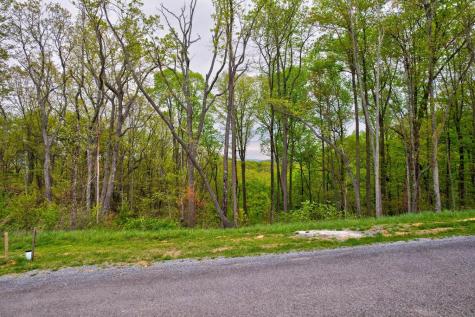 Lot 173 Shagbark Court Ellijay GA 30541