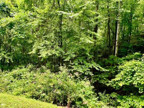 8 Black Bear Trail Hiawassee GA 30548