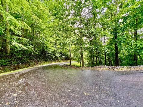8 Black Bear Trail Hiawassee GA 30548
