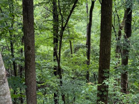 8 Black Bear Trail Hiawassee GA 30548