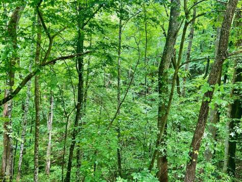 8 Black Bear Trail Hiawassee GA 30548