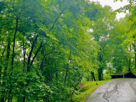 8 Black Bear Trail Hiawassee GA 30548