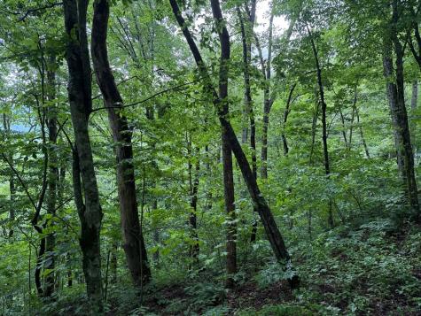 8 Black Bear Trail Hiawassee GA 30548