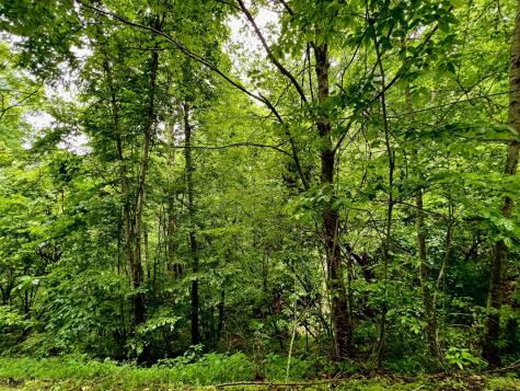 8 Black Bear Trail Hiawassee GA 30548