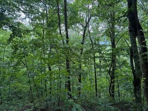 8 Black Bear Trail Hiawassee GA 30548