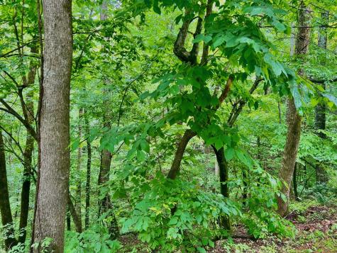 8 Black Bear Trail Hiawassee GA 30548