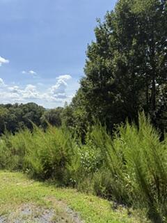 Lot 62 Big Valley Lane Morganton GA 30560