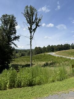 Lot 62 Big Valley Lane Morganton GA 30560